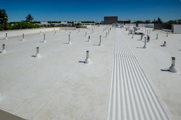 Best Steel Roofing  in Cleora, OK